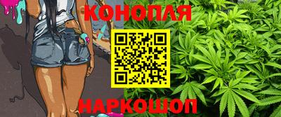 Альфа ПВП Кандалакша