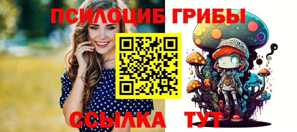 Галлюциногенные грибы Psilocybine cubensis  Вход с VPN  Кстово  Галлюциногенные грибы Psilocybine cubensis 