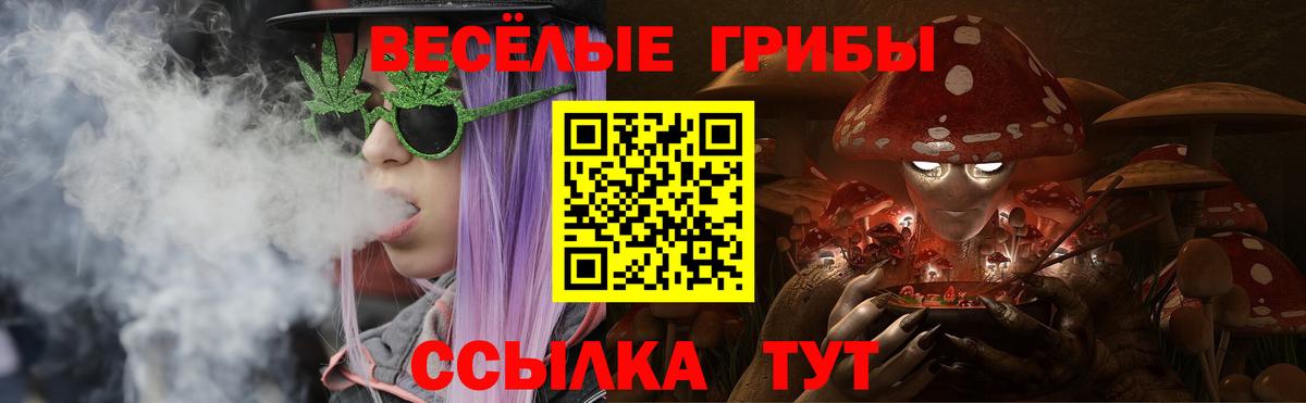 Галлюциногенные грибы мицелий Кстово